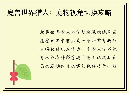魔兽世界猎人：宠物视角切换攻略